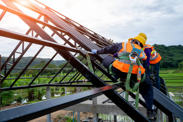 Best Residential Roofing Contractor  in Greenville, MI