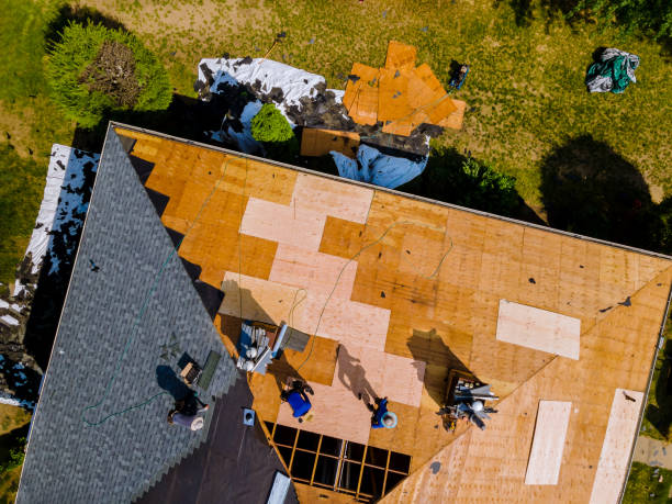 Best Tile Roofing Contractor  in Greenville, MI