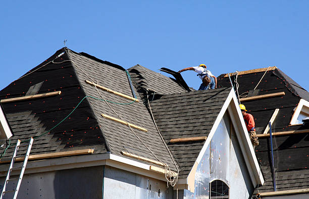 Best New Roof Installation  in Greenville, MI