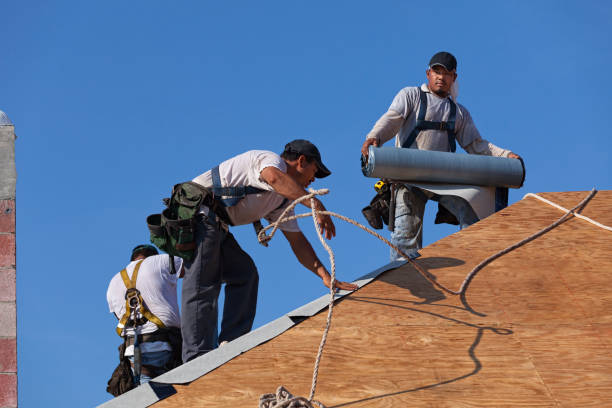 Best Gutter Installation and Roofing  in Greenville, MI