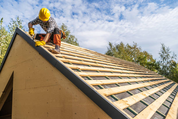 Best Metal Roofing Contractor  in Greenville, MI