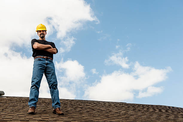 Best Roof Gutter Cleaning  in Greenville, MI