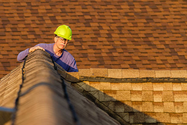 Best Roof Maintenance Services  in Greenville, MI