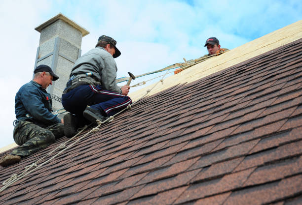 Best Best Roofing Contractors  in Greenville, MI