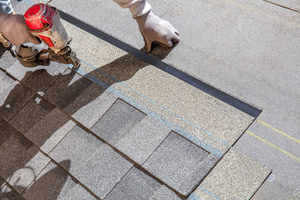Best Roof Restoration Services  in Greenville, MI