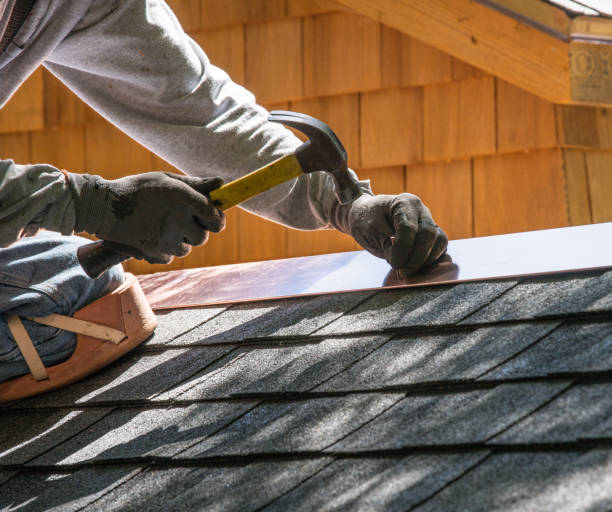 Best Roof Gutter Cleaning  in Greenville, MI